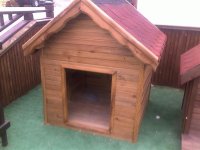 Ahşap Köpek Kulübesi 27